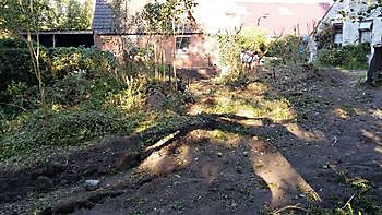 Rooien en planten van bomen, coniferen en struiken, plaatsen van beschoeiingen Kamperman Grondwerk B.V. Groningen Scheemda