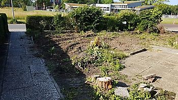 Rooien en planten van bomen, coniferen en struiken, plaatsen van beschoeiingen Kamperman Grondwerk B.V. Groningen Scheemda