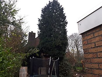 tuin leeg halen Kamperman Grondwerk B.V. Groningen Scheemda